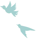 鳥のイラスト