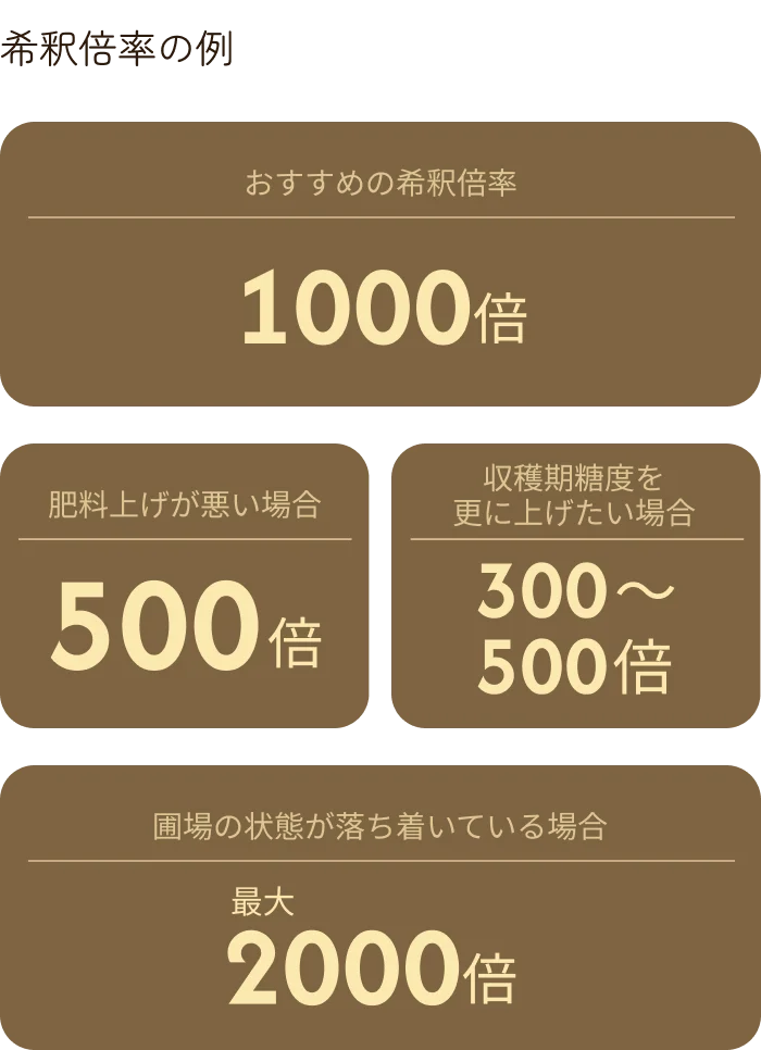 希釈倍率の例