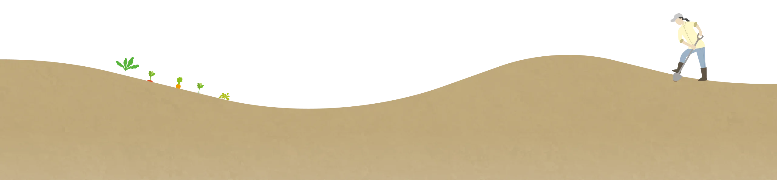 イラスト画像