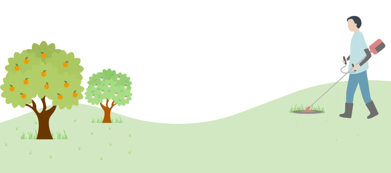 イラスト画像